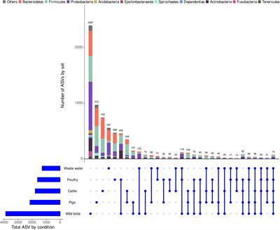 Comparative Analysis of Fecal Microbiomes From Wild Waterbirds to Poultry, Cattle, Pigs, and Wastewater Treatment Plants for a Microbial Source Tracking Approach